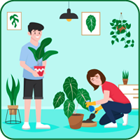 Interior Needs And Garden